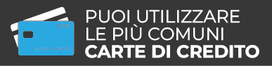 Paga a rate con le più comuni carte di credito